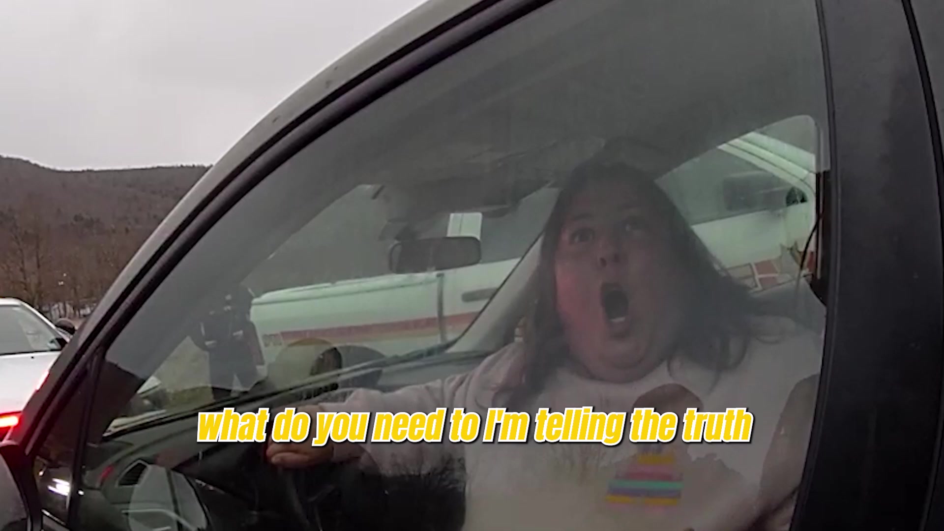 Real frame extracted from supplied traffic-stop bodycam footage