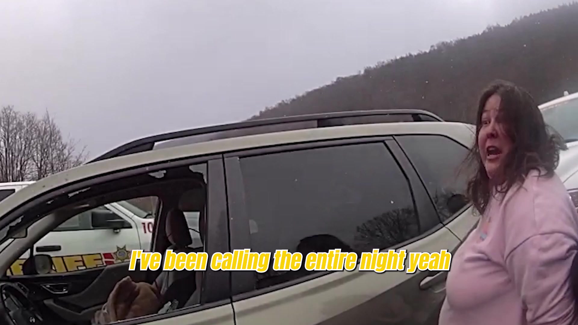 Real frame extracted from supplied traffic-stop bodycam footage