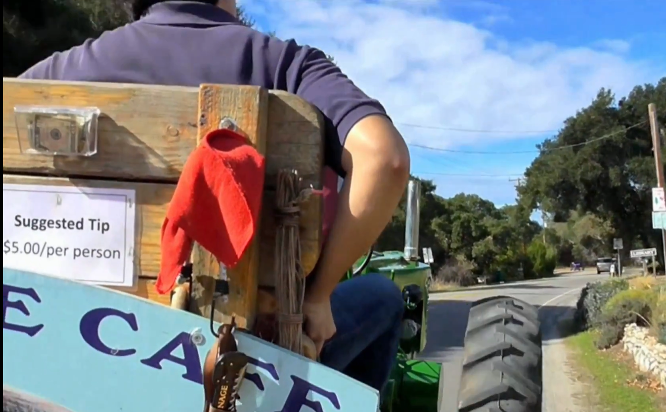 One Driver Turns a Tourist Wagon Ride Into Chaos