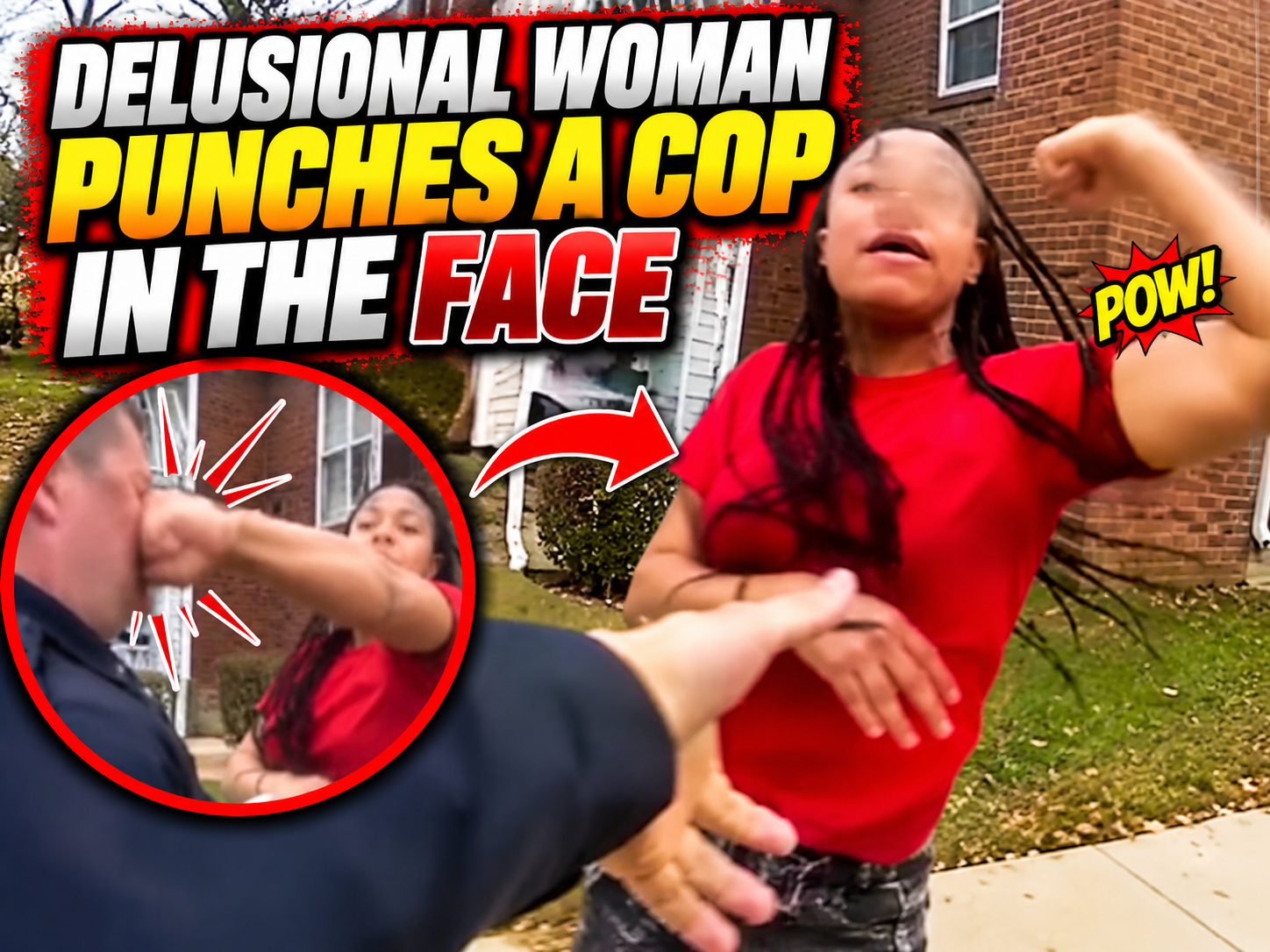 Delusional Woman Punches a Cop in the Face