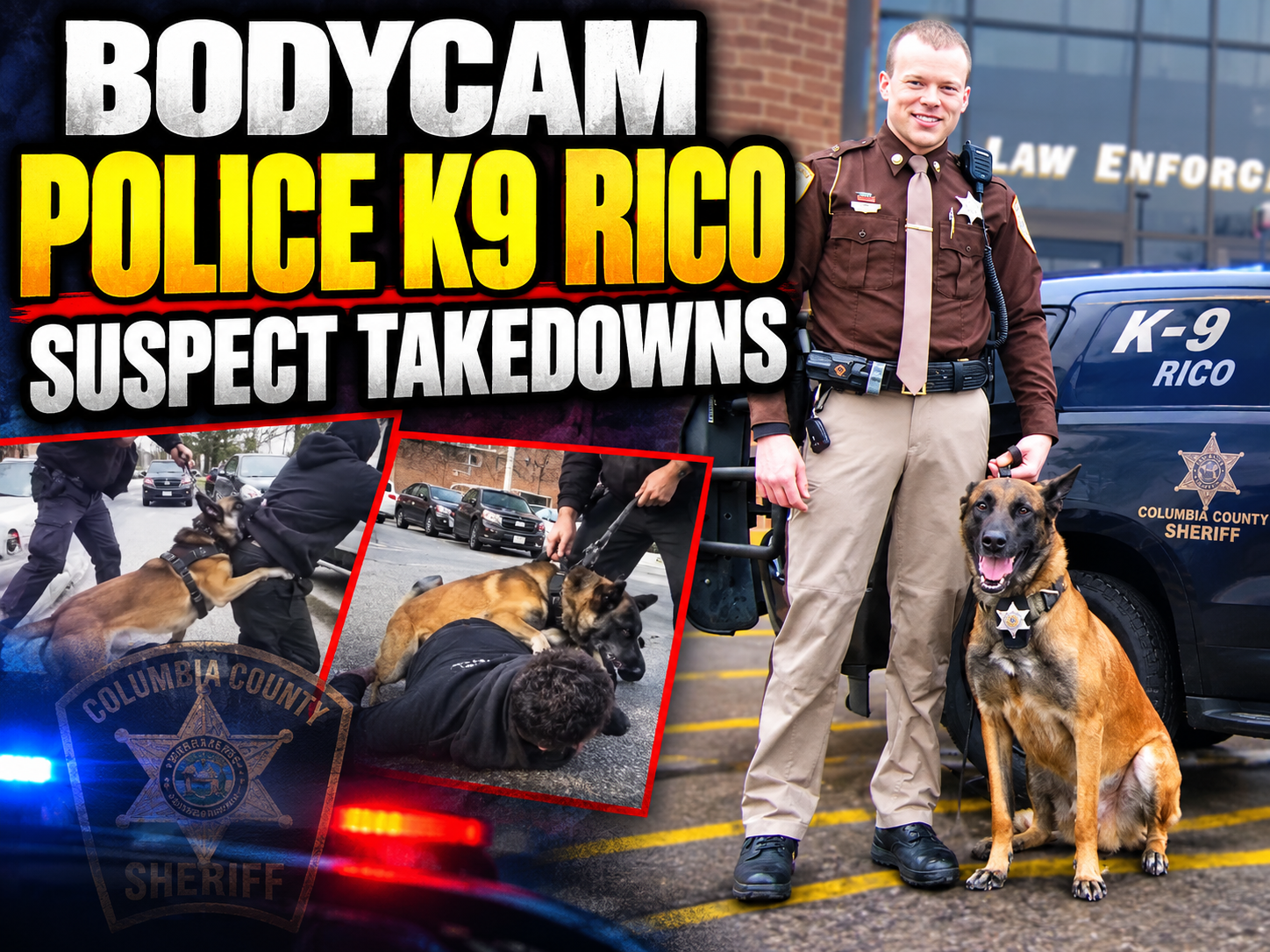 Bodycam Police K9 Rico Suspect Takedowns 