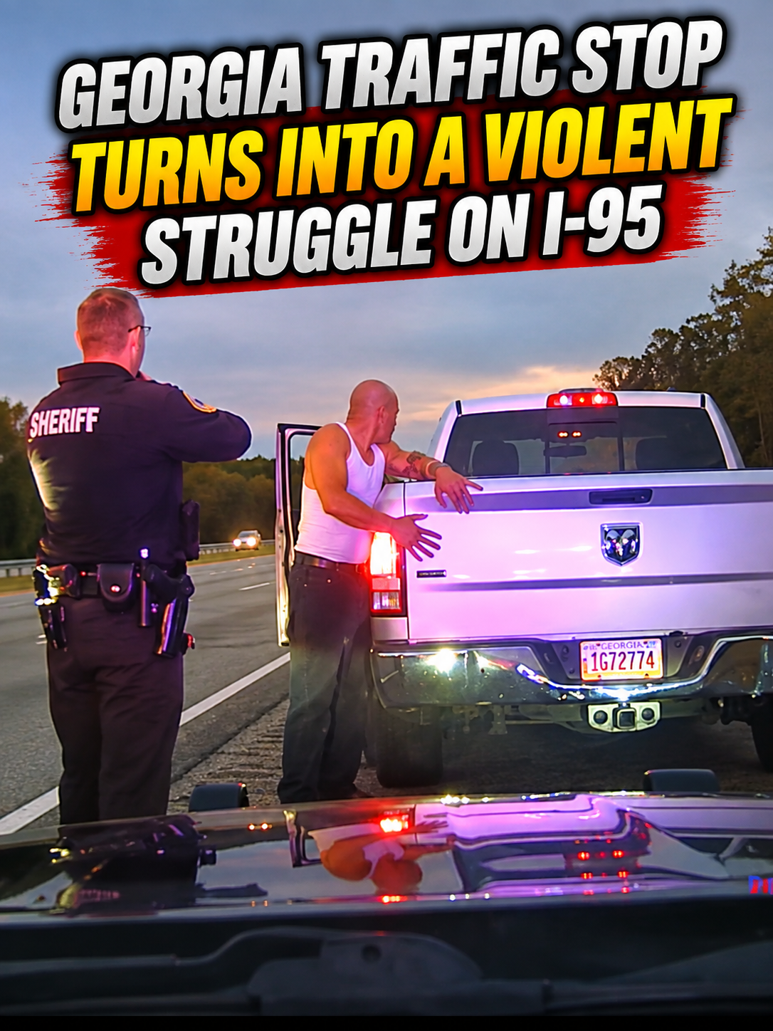 Georgia Traffic Stop Turns Into a Violent Struggle on I-95