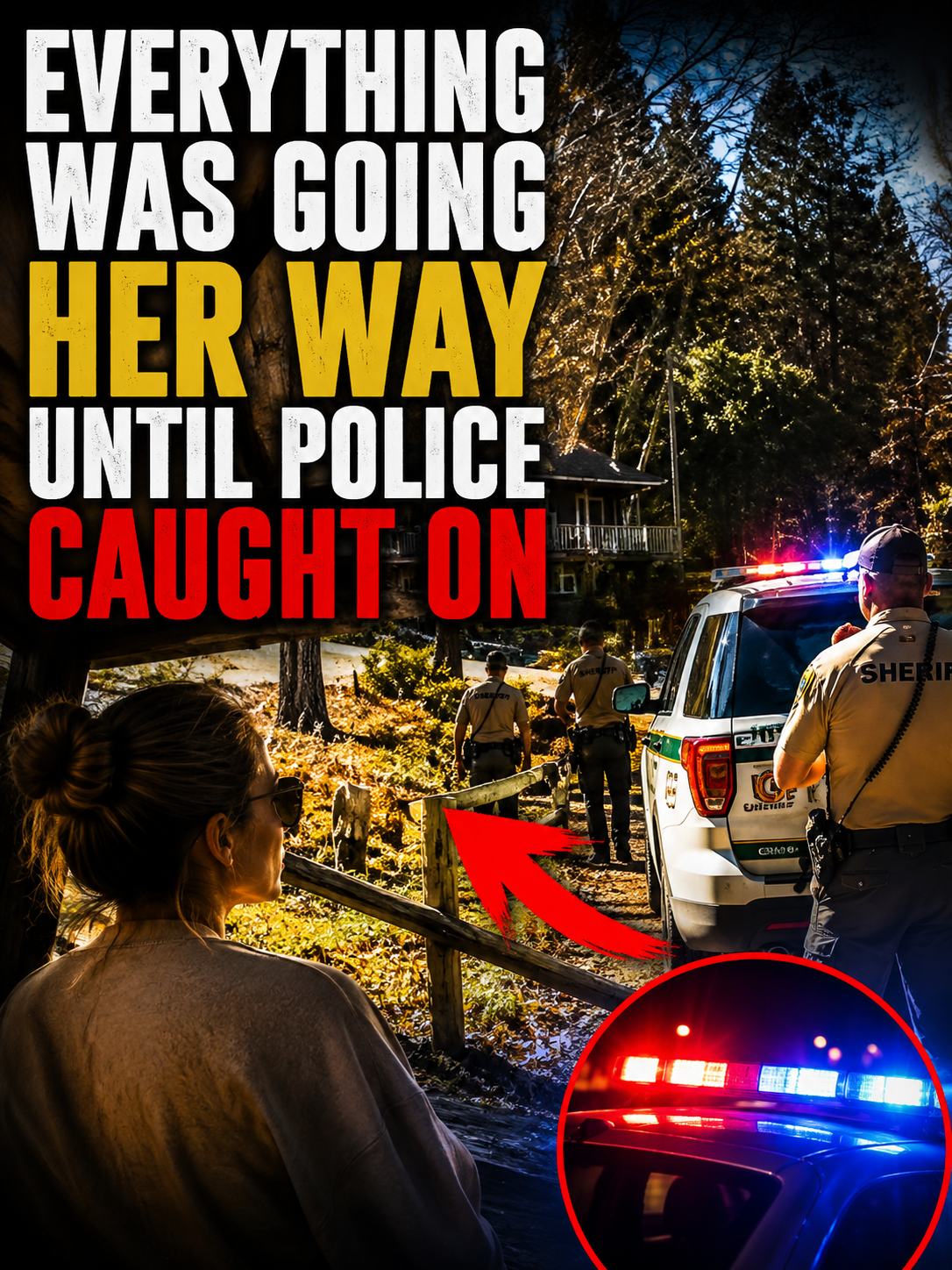 Everything Was Going Her Way Until Police Caught On