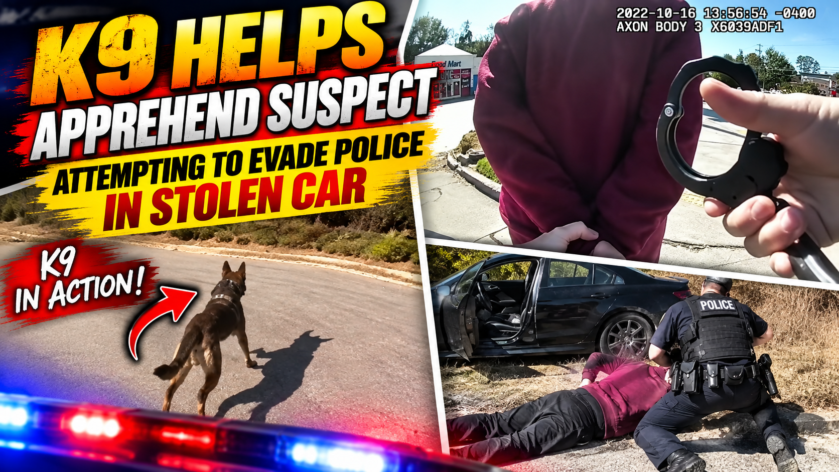 K9 Helps Apprehend Suspect Attempting to Evade Police in Stolen Car