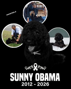 Barack and Michelle Obama Mourn Death of Beloved Family Dog Sunny After 13 Years Together