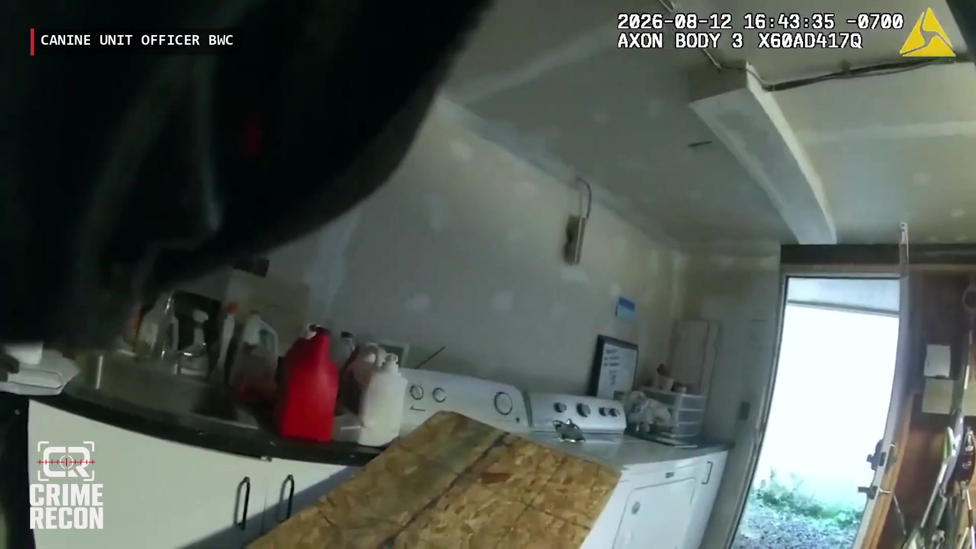 Real frame from the supplied Portland Police incident video