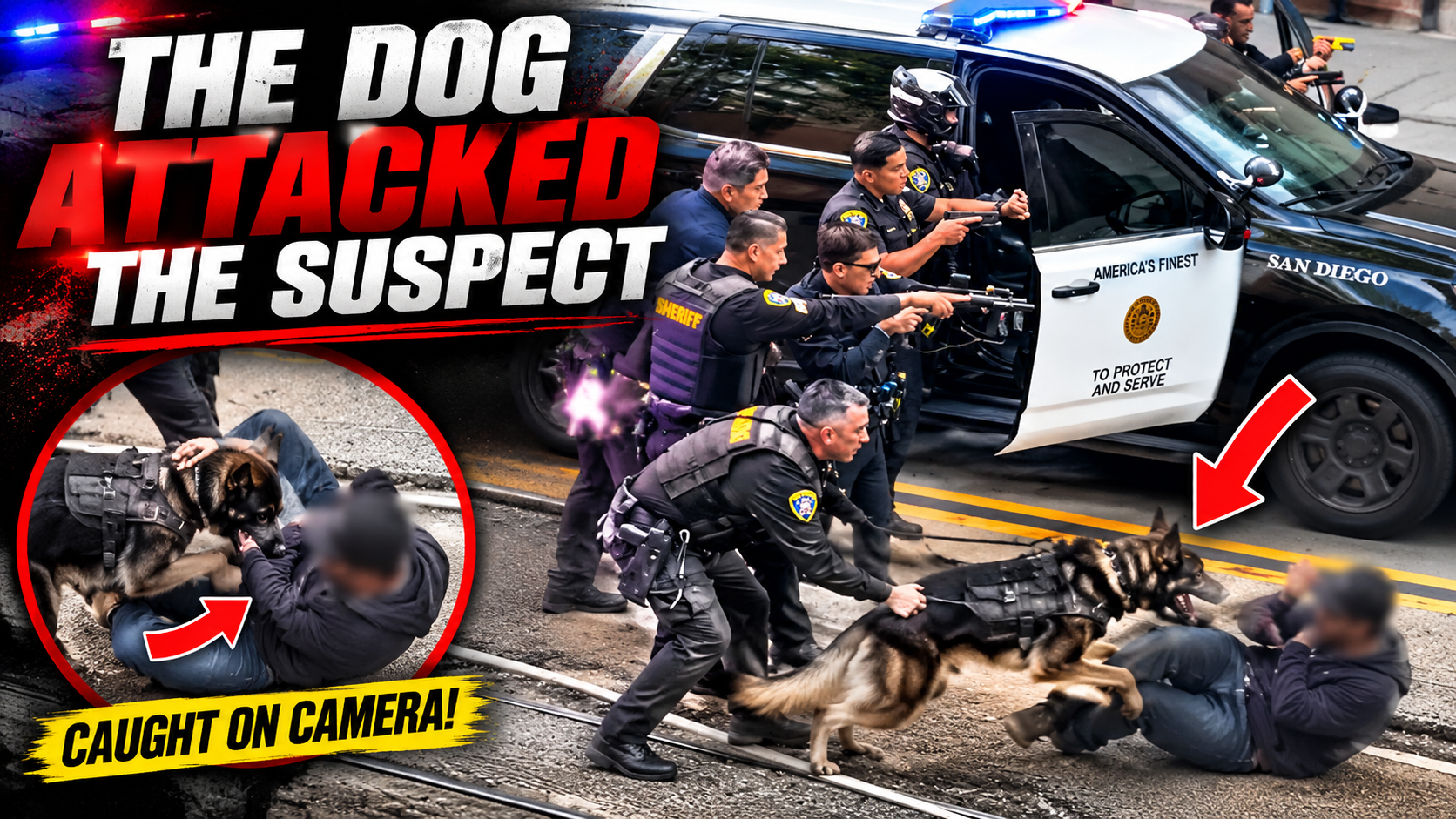 The Dog Attacked the Suspect