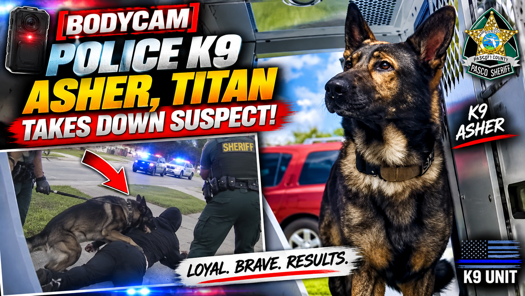 Bodycam Police Police K9 Dog Asher, Titan Takes Down Suspect