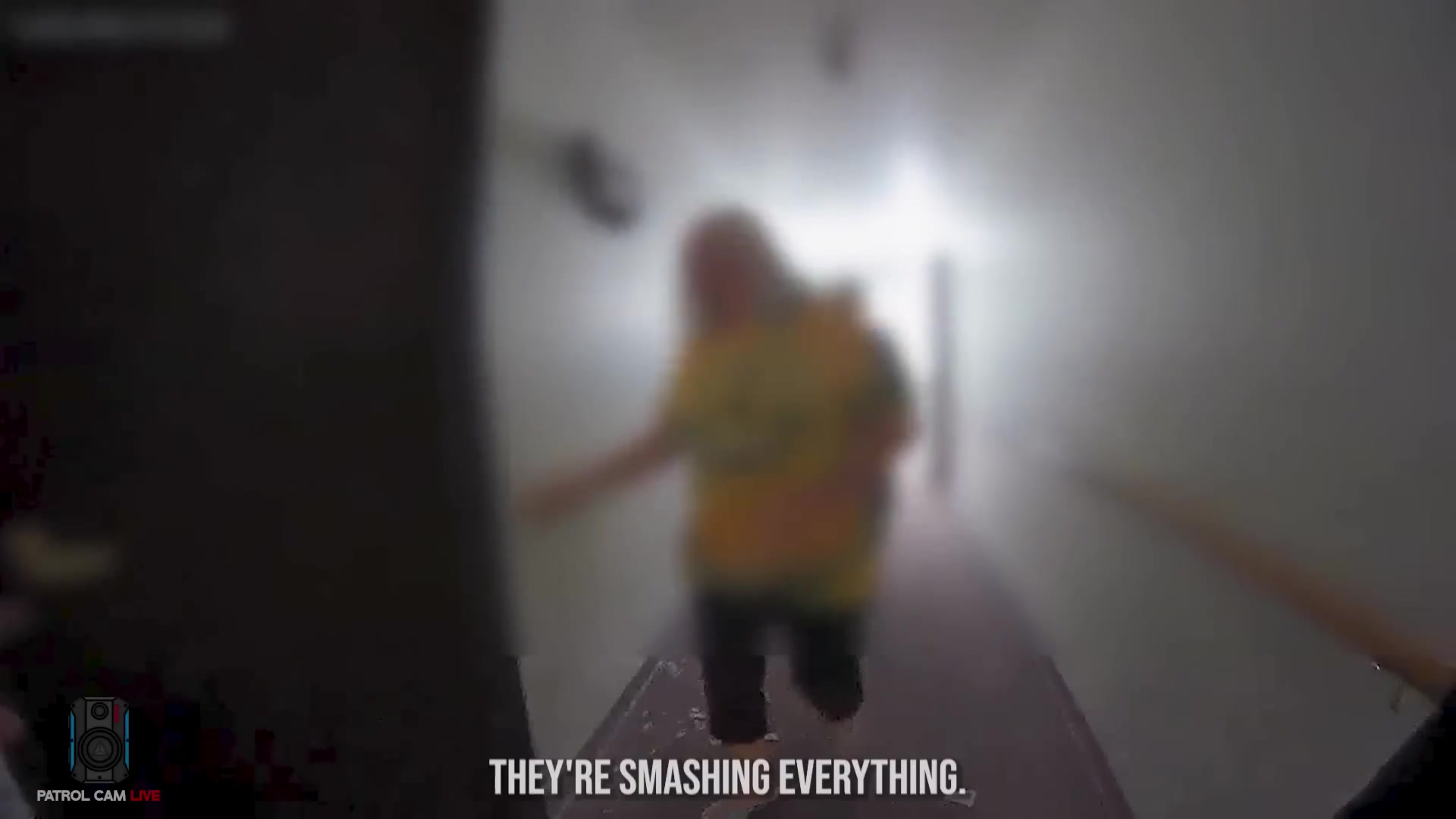 Real frame from the supplied patrol-camera footage