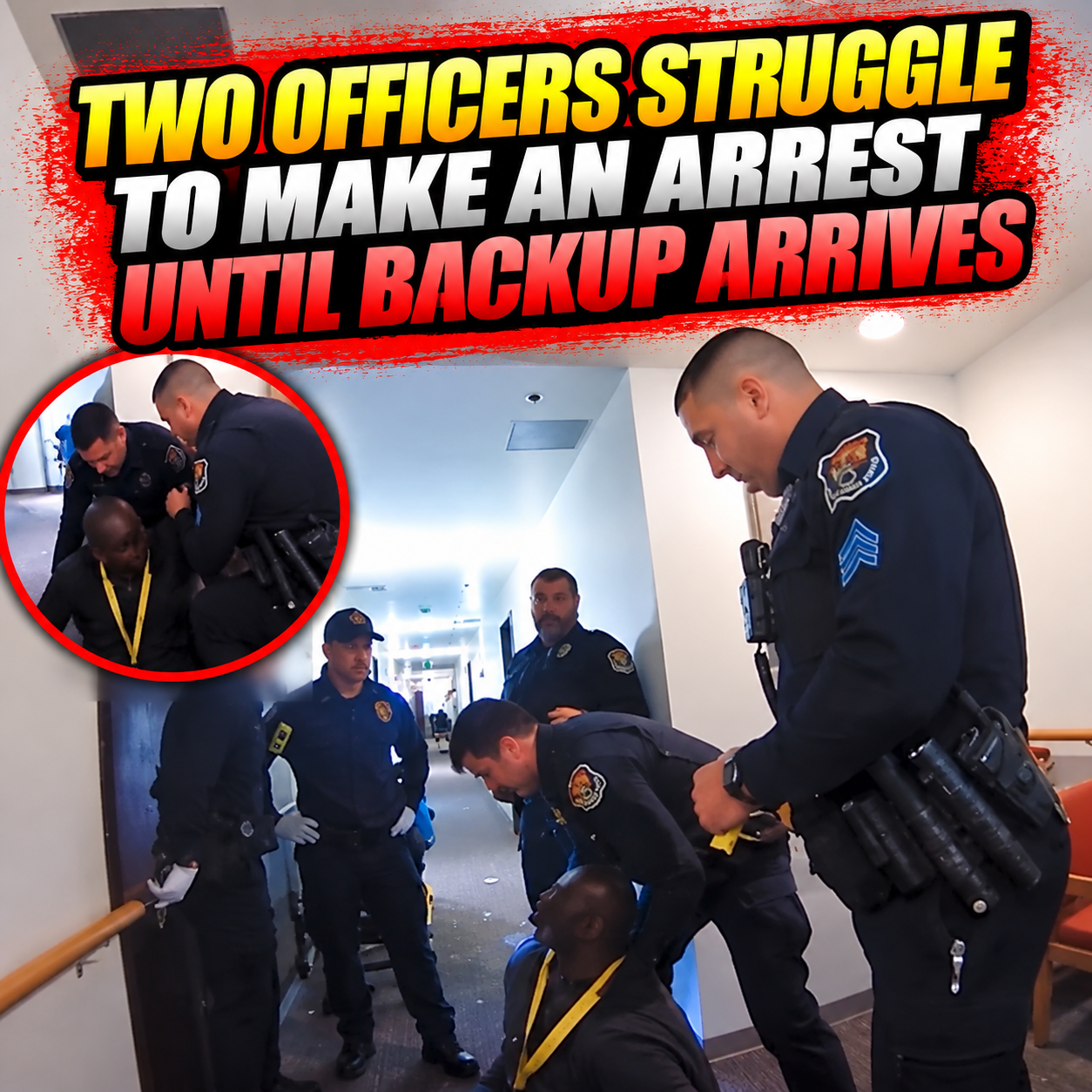 Two Officers Struggle to Make an Arrest Until Backup Arrives