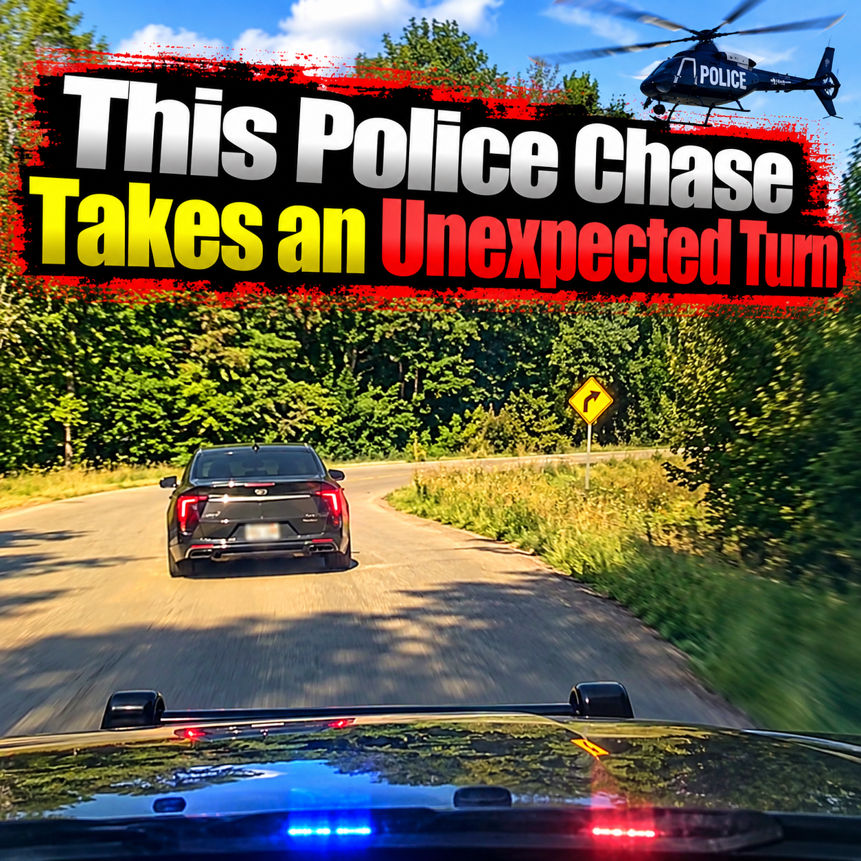 This Police Chase Takes an Unexpected Turn