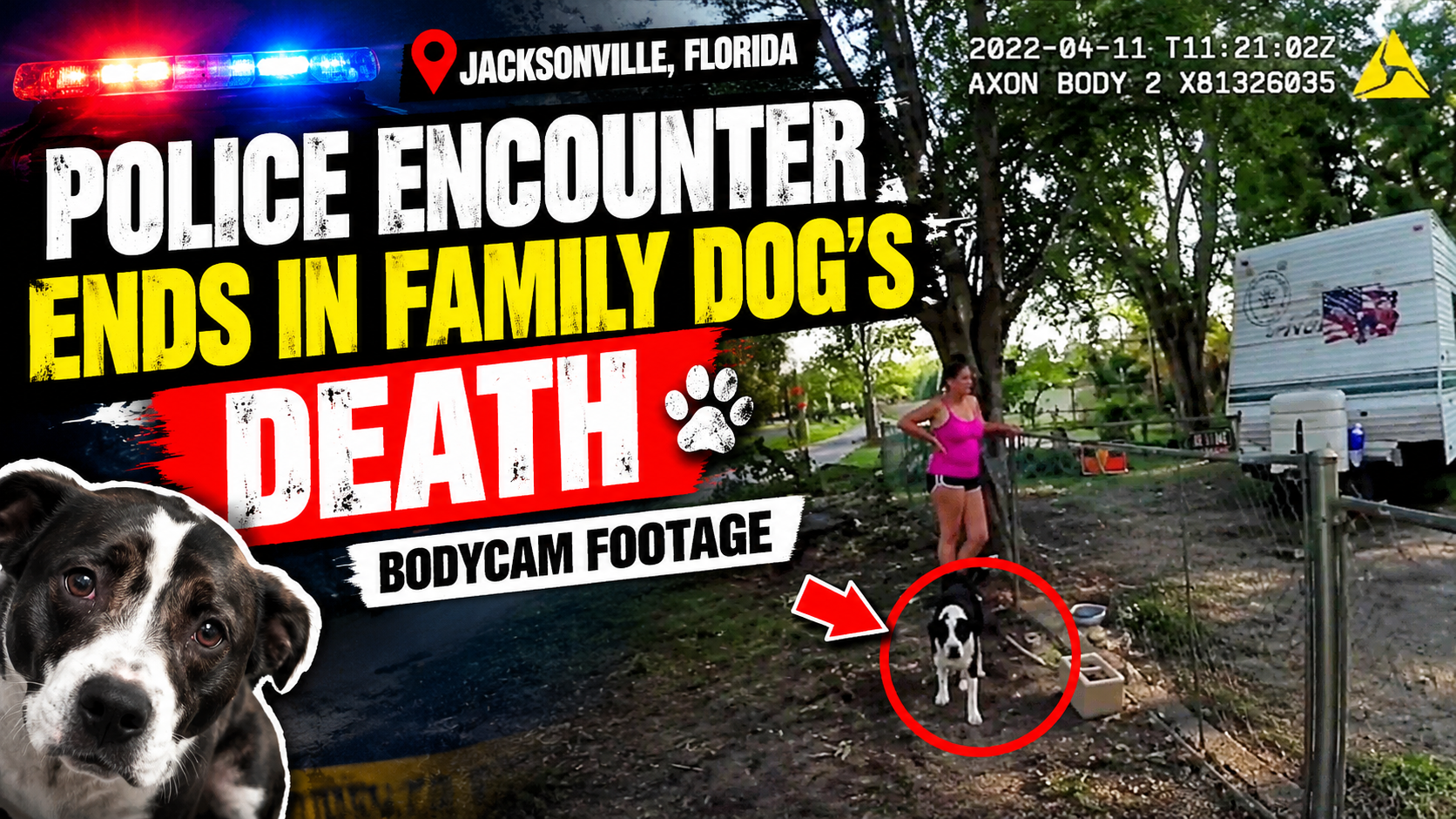 🐕 Jacksonville, Florida: Police Encounter Ends in Family Dog’s Death | Bodycam Footage