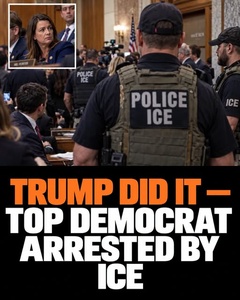 What Really Happened When Brad Lander Was Arrested by Federal Immigration Agents — and What Came Next