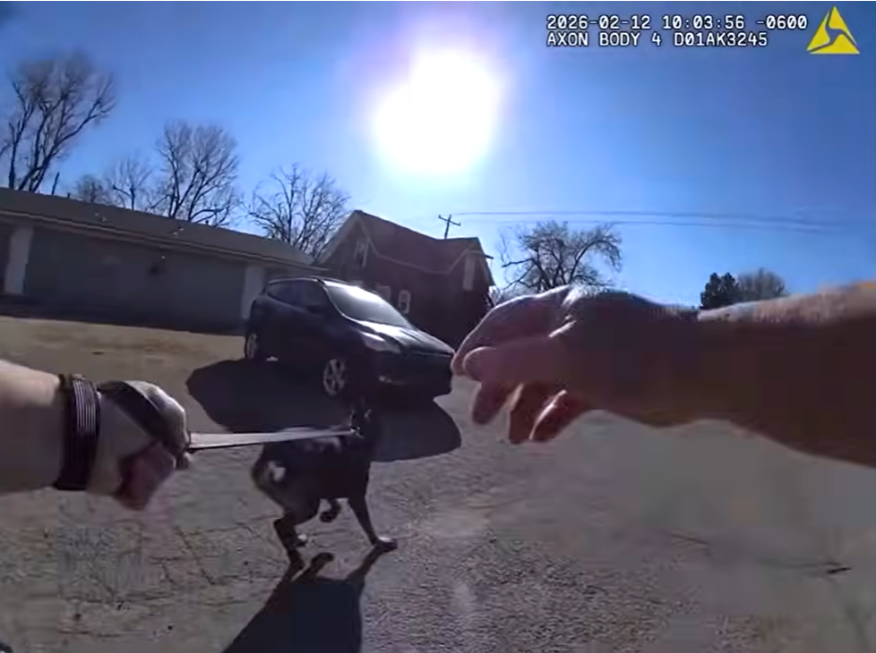 Real February 12, 2026 Oklahoma City Police body-camera frame showing K9 Gunner working on a residential street