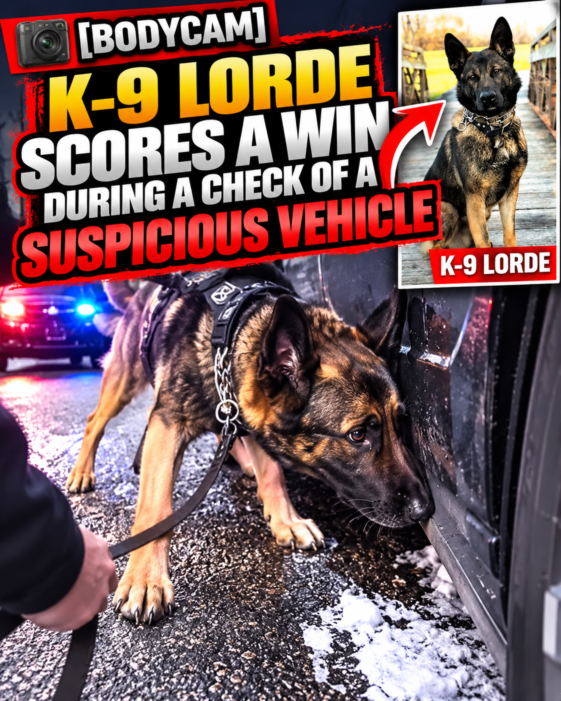 [Bodycam] K-9 Lorde scores a win during a check of a suspicious vehicle 