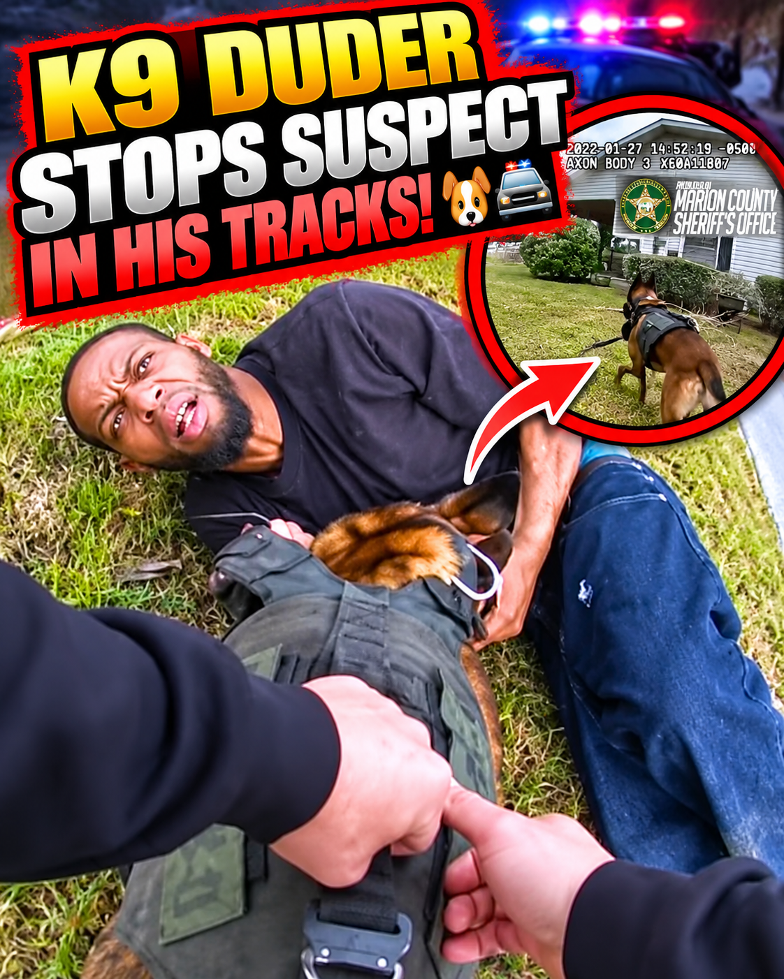 K9 Duder Stops Suspect in His Tracks! 🐕🚔