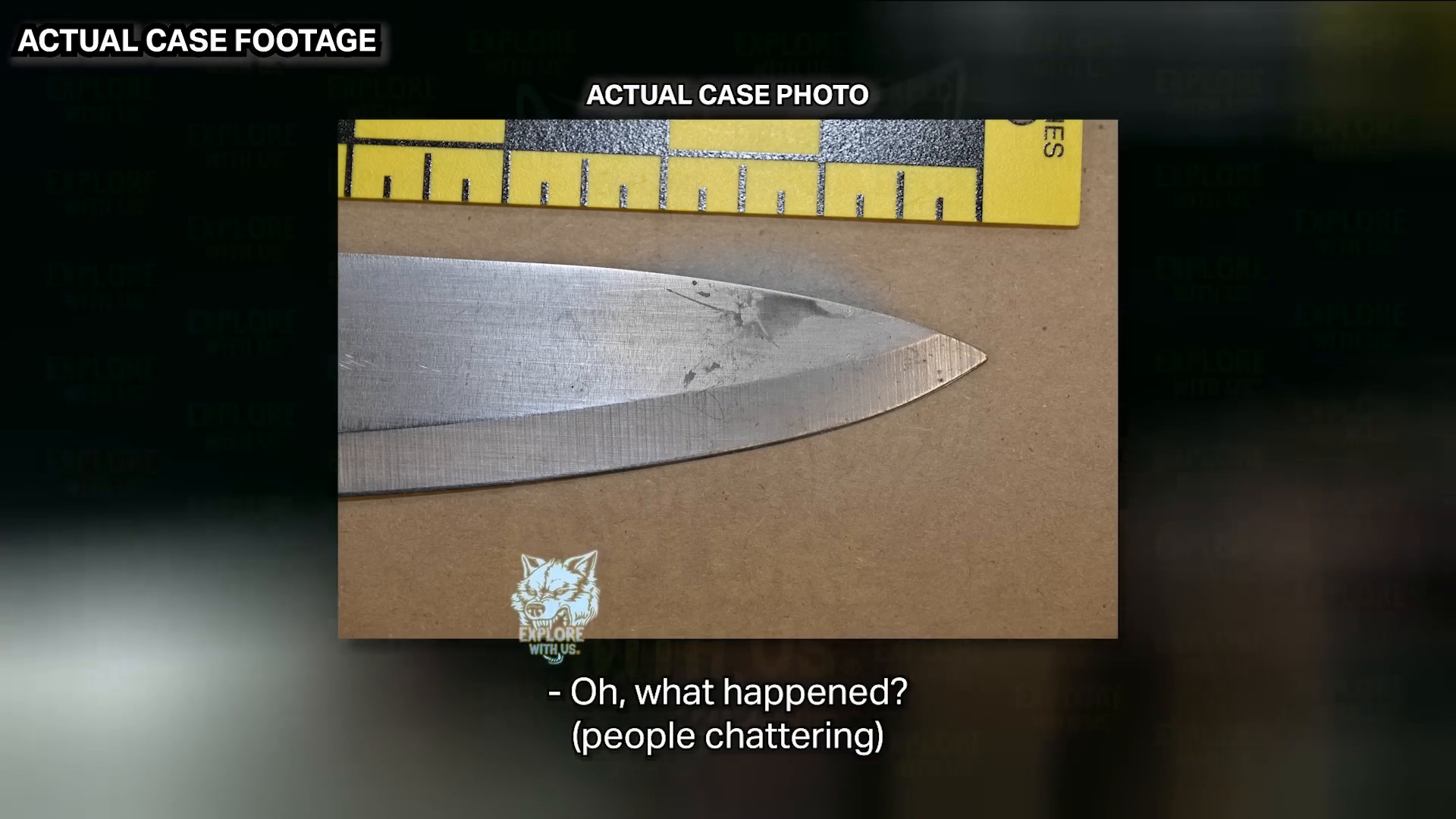 Uncropped frame from the supplied case footage