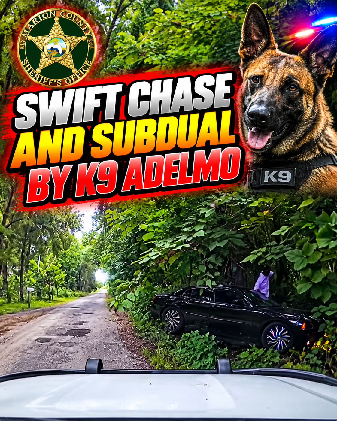 Swift Chase and Subdual by K9 Adelmo