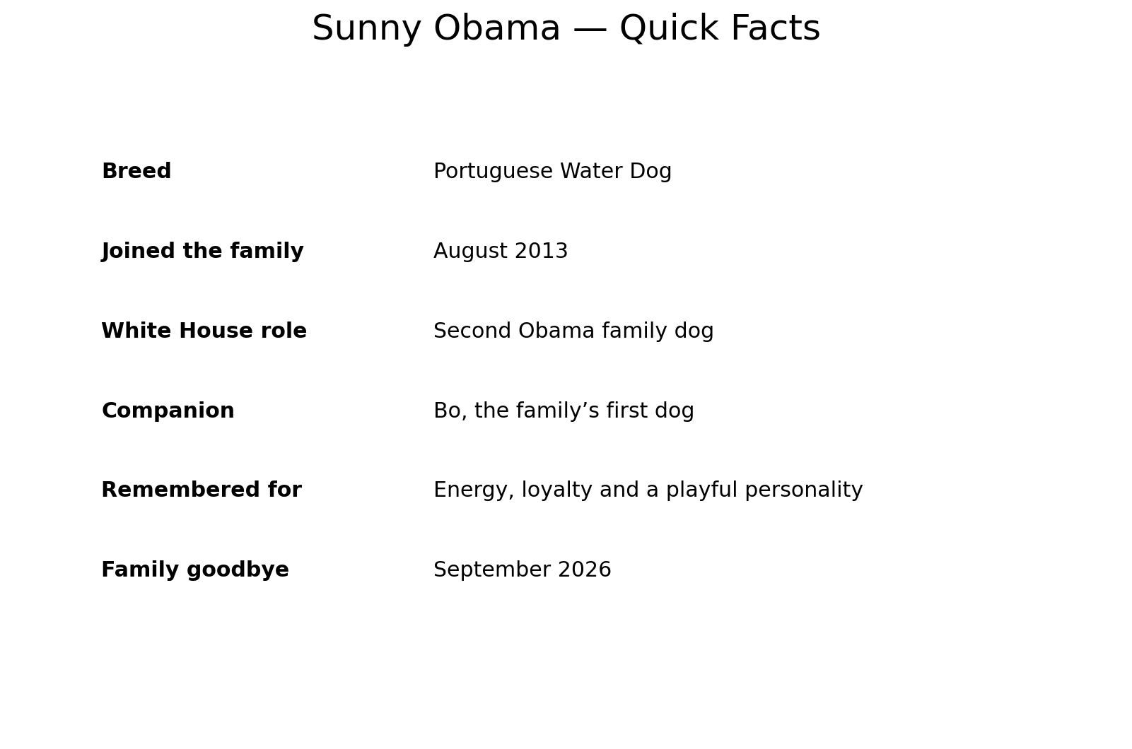 Quick facts about Sunny, the Obama family dog