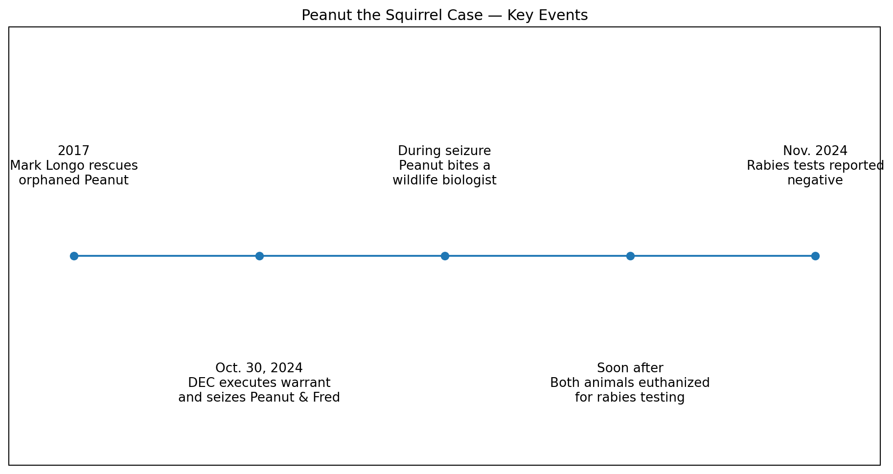 Timeline of the Peanut the squirrel case