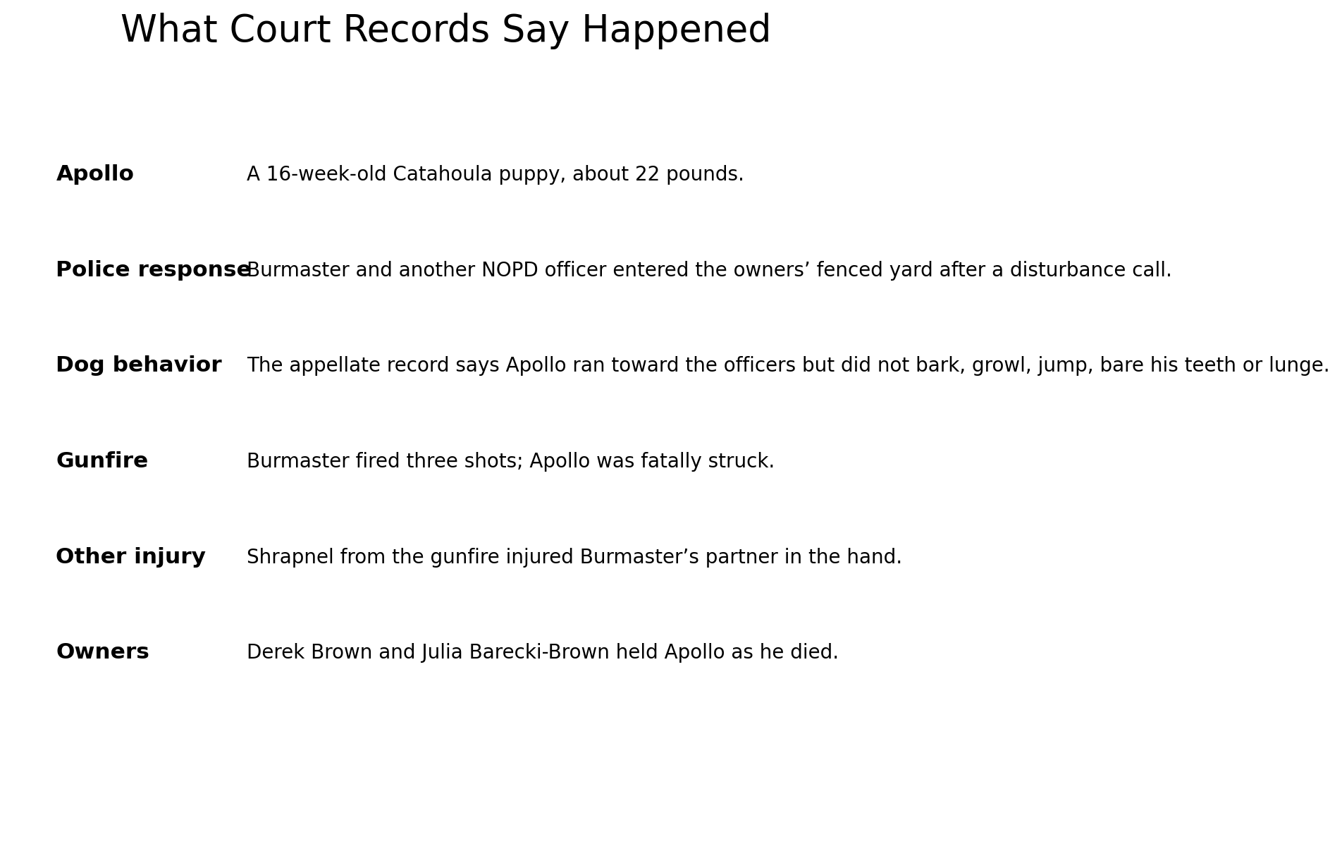 Key facts from court records about the shooting of Apollo