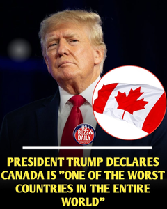 Trump Slaps Additional 50% Tariff on Canadian Goods — What’s Actually Happening