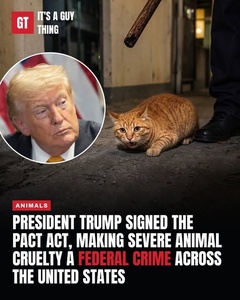 Trump’s PACT Act Makes Certain Severe Animal Cruelty a Federal Crime
