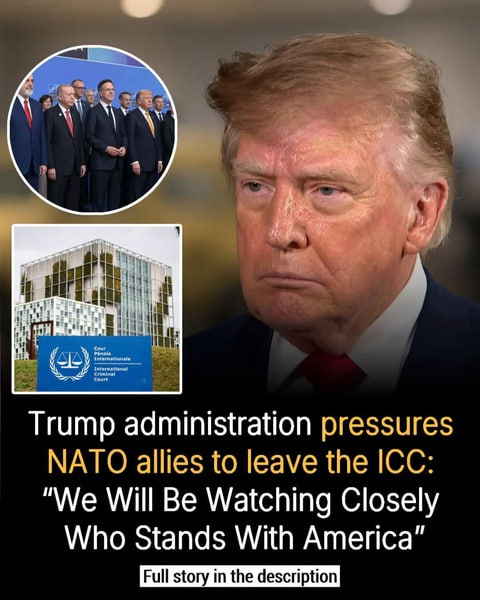 Trump Administration Pressures NATO Allies to Abandon ICC, Warning It Will Watch Who Supports America