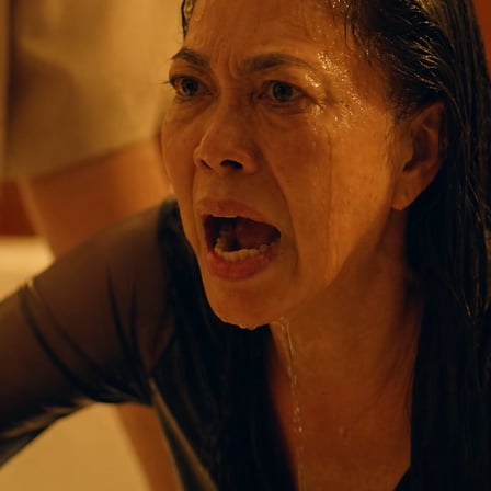 85B “Akala Niya Walang Makakaalam — Hanggang Mapanood ng Asawa ang Pagtataksil at Pagtangkang Pagpatay”