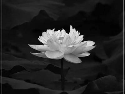 Cả nước vĩnh biệt nam nghệ sĩ hài từng tung hoành bao sân khấu: Trút hơi thở cuối cùng ở tuổi 55