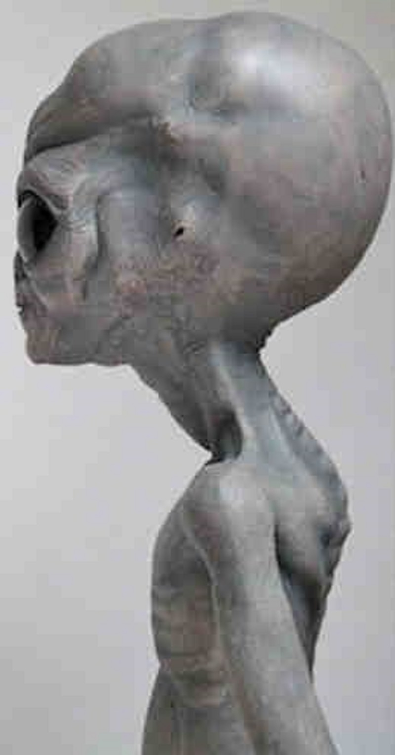Alien Nutrition: What Do ETs Eat to Sustain Themselves?