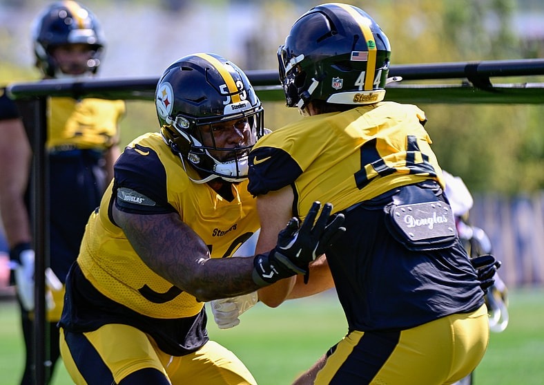 Steelers Cut Veteran LB on the Spot After Disappointing Start to the Season