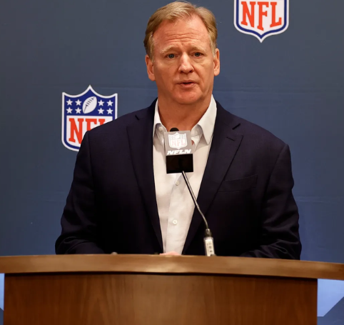 NFL Releases Shocking Detailed Footage Revealing the Reason a Lions Fan