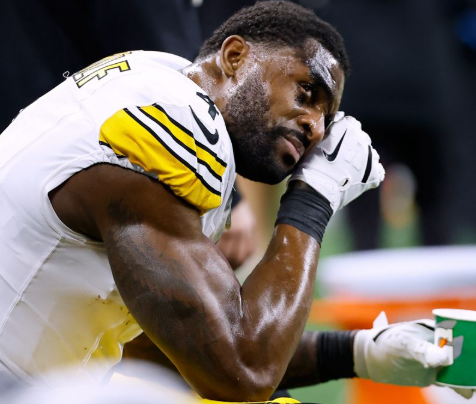 Just 12 Hours After DK Metcalf Scandal, Lions Fans Attack Steelers Star